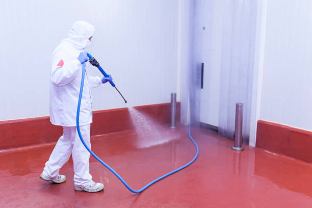 Best Soft Washing  in Centerville, OH